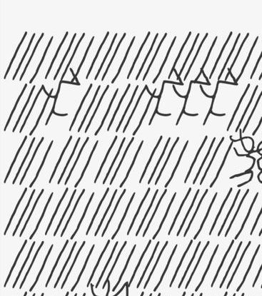 O CLARÃO DE ESPINOSA