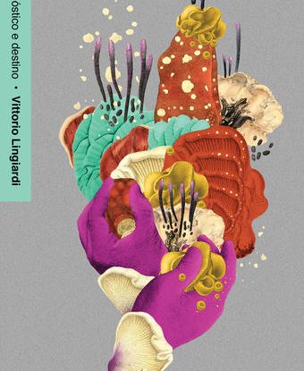 DIAGNÓSTICO E DESTINO