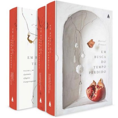 BOXE EM BUSCA DO TEMPO PERDIDO