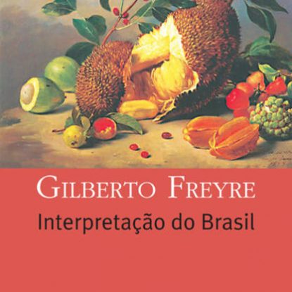 INTERPRETAÇÃO DO BRASIL