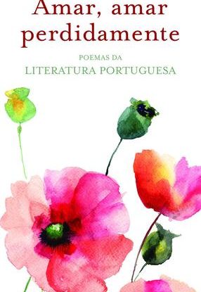 AMAR, AMAR PERDIDAMENTE