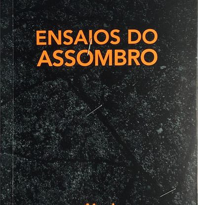 ENSAIOS DO ASSOMBRO