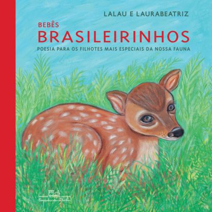 BEBÊS BRASILEIRINHOS (BROCHURA)