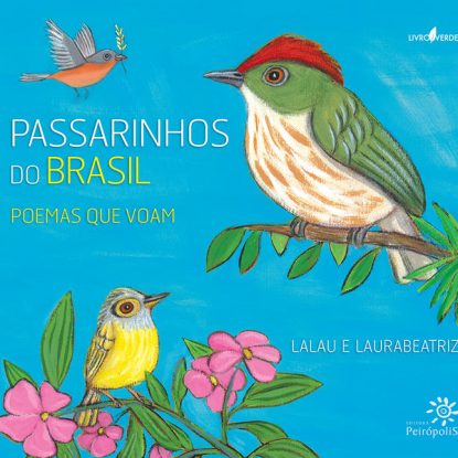 PASSARINHOS DO BRASIL