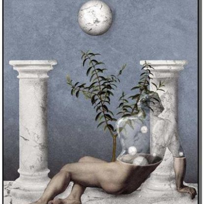 NOVO ESCLARECIMENTO RADICAL