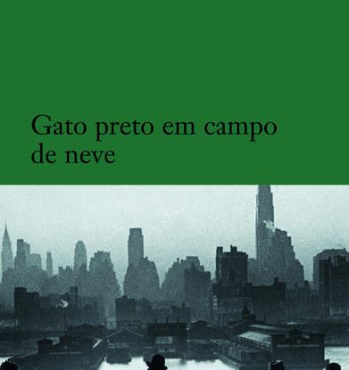 GATO PRETO EM CAMPO DE NEVE