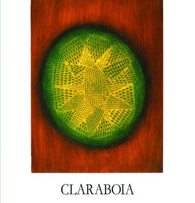 CLARABOIA