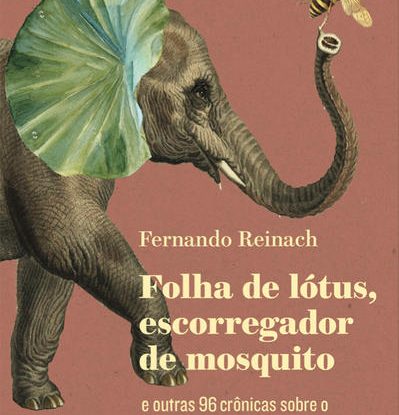 FOLHA DE LÓTUS, ESCORREGADOR DE MOSQUITO