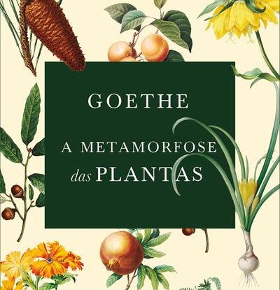 A METAMORFOSE DAS PLANTAS