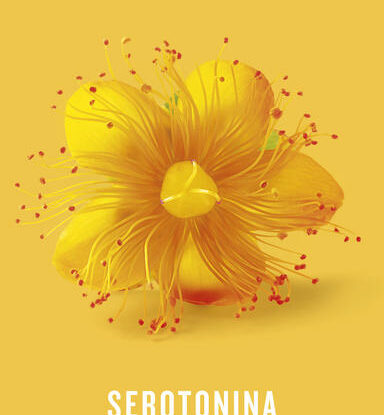 SEROTONINA