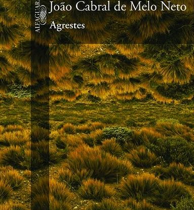 AGRESTES