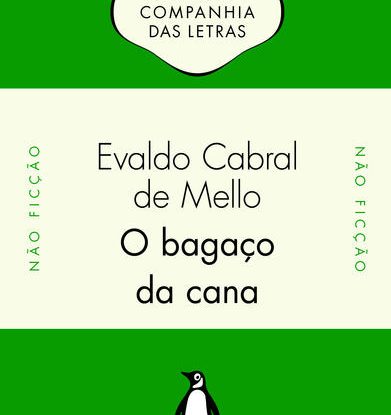 O BAGAÇO DA CANA