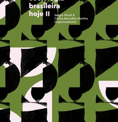 SOCIOLOGIA BRASILEIRA HOJE II