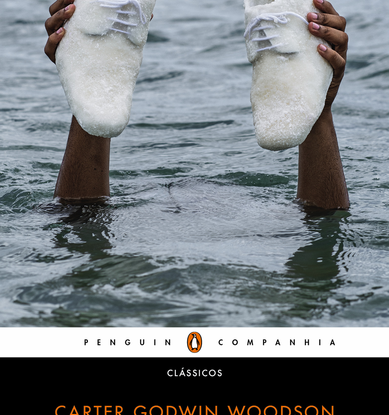 A DES-EDUCAÇÃO DO NEGRO