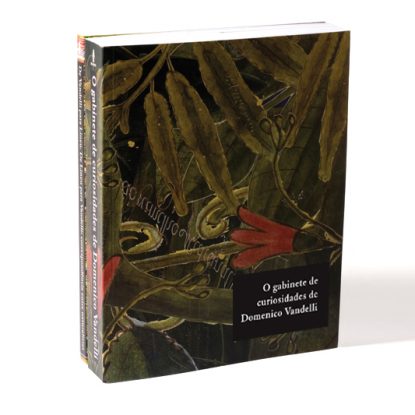 O GABINETE DE CURIOSIDADES