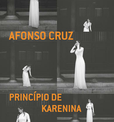 PRINCÍPIO DE KARENINA