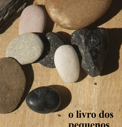 O LIVRO DOS PEQUENOS NÃOS