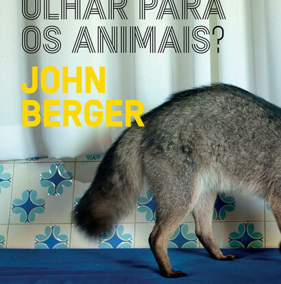 POR QUE OLHAR PARA OS ANIMAIS?