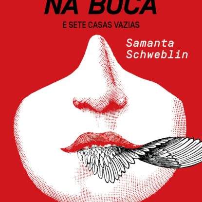 PÁSSAROS NA BOCA E SETE CASAS VAZIAS