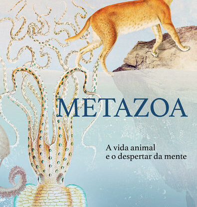 Metazoa