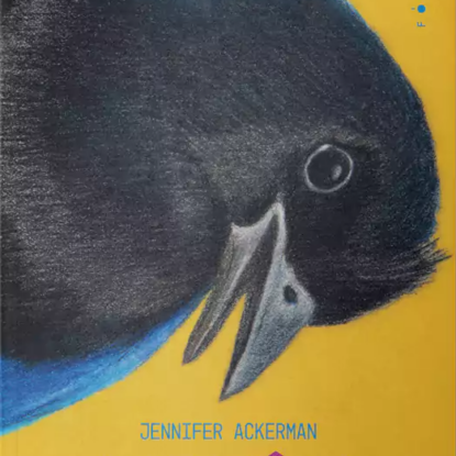 A inteligência das aves