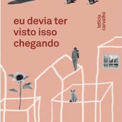 Eu devia ter visto isso chegando