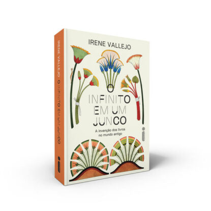 O infinito em um junco