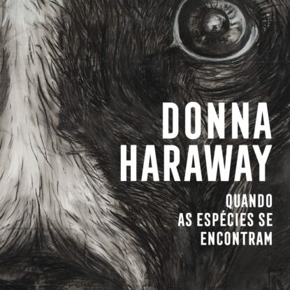 Quando as espécies se encontram