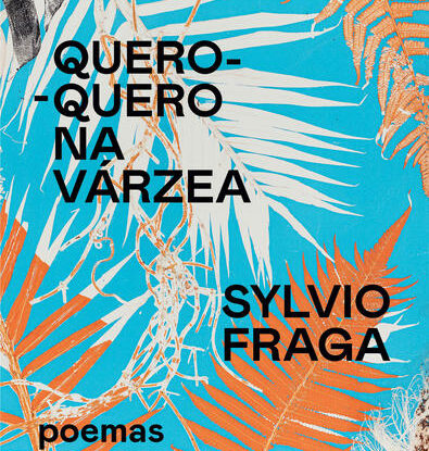 Quero-quero na várzea