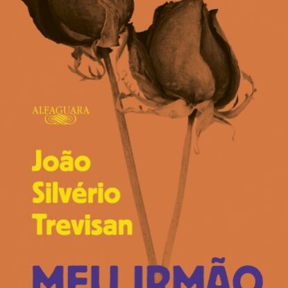 Meu irmão, eu mesmo