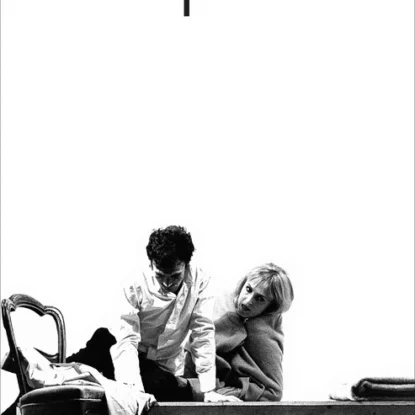 Teatro, vol. 1 - Orgia e Animal de estilo