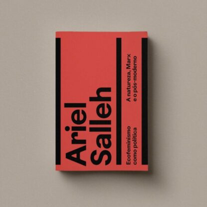 Ecofeminismo como política